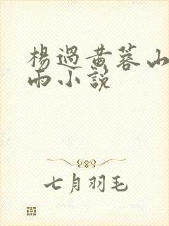 杨过黄蓉山洞云雨小说