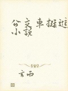 公交车挺进她的小说