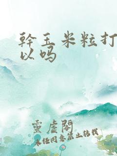 干玉米粒打窝可以吗