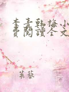 李青韩梅小说免费阅读全文最新章节