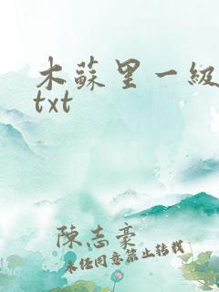 木苏里一级律师txt