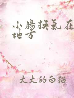 小肠换气在什么地方 小肠换气在什么地方