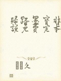 归路墨宝非宝小说免费完本