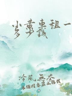 小黄车租一个月多少钱