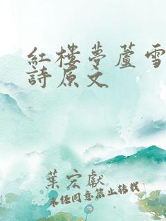 红楼梦芦雪庵联诗原文