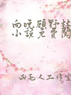 向晚顾野林清清小说免费阅读全文下