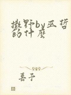 撒野by巫哲讲的什么