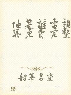 他是谁电视剧全集免费完整版