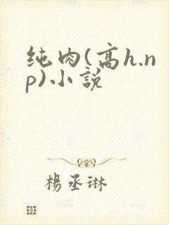 纯肉(高h.np)小说