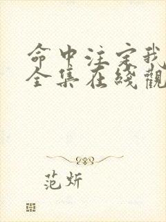 命中注定我爱你全集在线观看免费