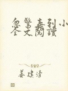 忽惊春到小桃枝全文阅读