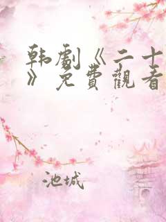 韩剧《二十二十》免费观看