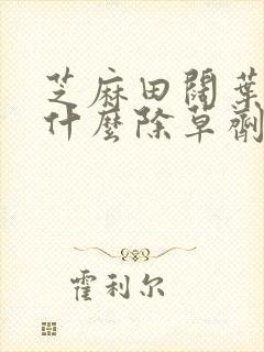 芝麻田阔叶草用什么除草剂?