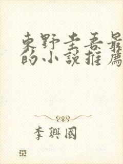 东野圭吾最好看的小说推荐