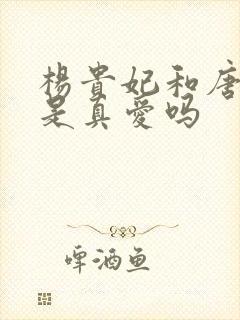 杨贵妃和唐玄宗是真爱吗