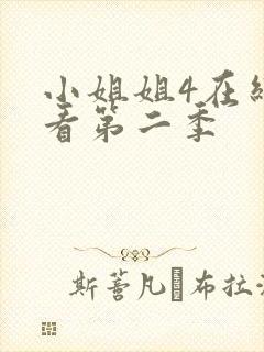 小姐姐4在线观看第二季