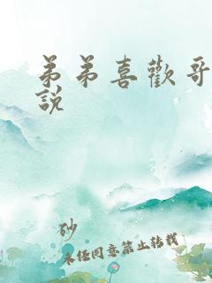 弟弟喜欢哥哥小说