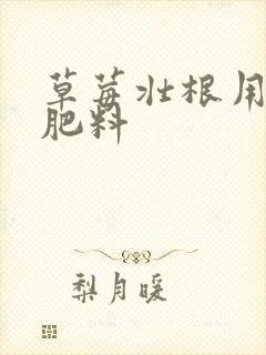 草莓壮根用什么肥料