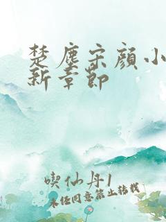 楚尘宋颜小说最新章节
