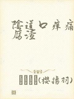 阴道口痒痛有豆腐渣