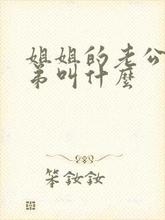 姐姐的老公叫弟弟叫什么