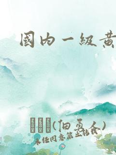 国内一级黄色