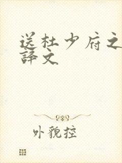送杜少府之蜀州译文