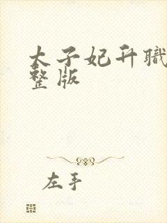 太子妃升职记完整版