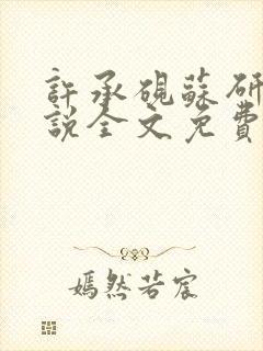 许承砚苏研雅小说全文免费阅读最新