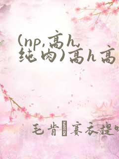 (np,高h,纯肉)高h高辣bl