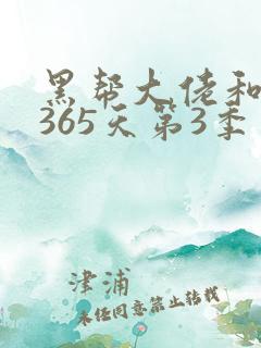 黑帮大佬和我的365天第3季