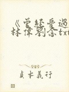 《曾经爱过我》林伟刘念txt