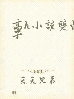高h小说双性生子