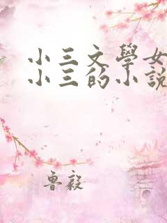 小三文学女主是小三的小说