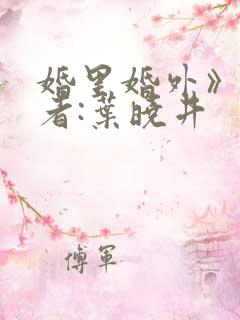 婚里婚外》 作者:叶晓井