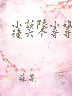 小说陆小姐独美后六个哥哥跪求原谅
