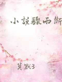 小说骤雨断情