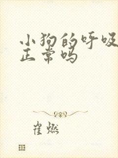 小狗的呼吸很快正常吗