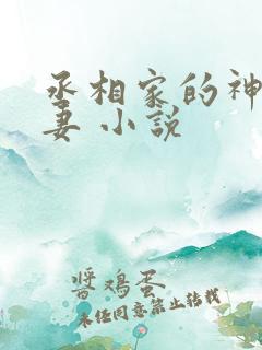 丞相家的神医福妻 小说