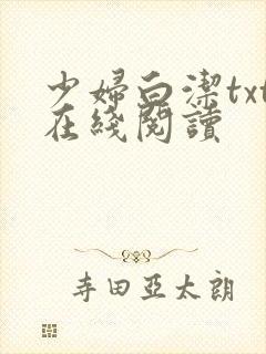 少妇白洁txt在线阅读