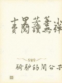 十里芳华小说免费阅读无弹窗