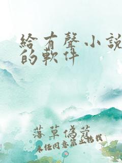 给有声小说配音的软件