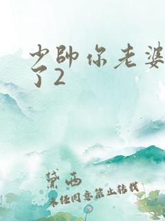 少帅你老婆又跑了2