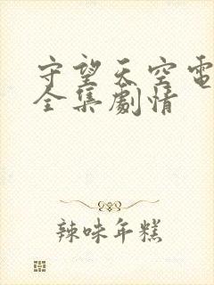守望天空电视剧全集剧情