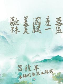 欧美国产亚洲丝袜美腿一区