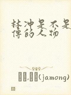 林冲是不是水浒传的人物