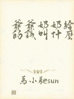 爷爷奶奶给孙子的钱叫什么