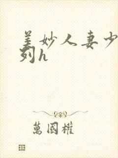 美妙人妻少妇系列h
