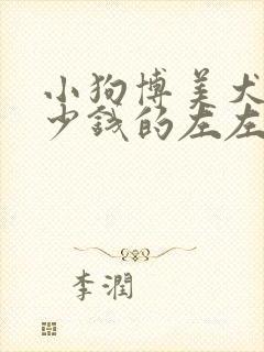 小狗博美犬是多少钱的左左右