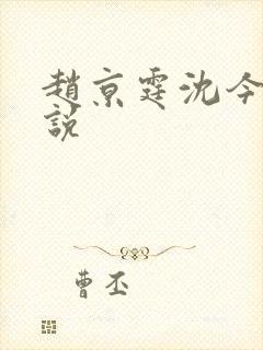 赵京霆沈今愿小说